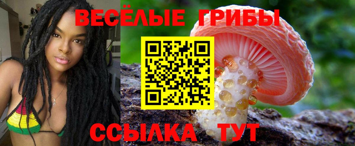 Заводоуковск  Галлюциногенные грибы мицелий  Псилоцибиновые грибы Psilocybine cubensis  что такое наркотик  Вход с VPN 